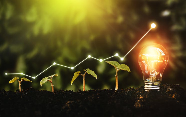 Image shows a line of four seedlings growing in size from left to right ending in a glowing lightbulb